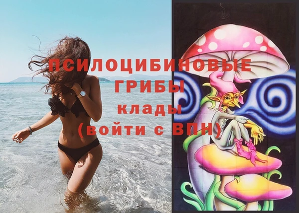 ешки Волосово