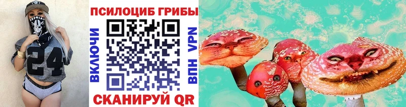 купить  цена  Дегтярск  кракен сайт  Псилоцибиновые грибы мухоморы 
